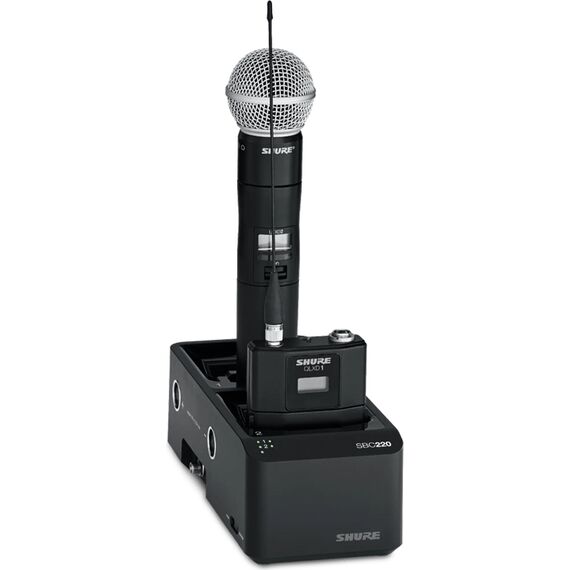 Двухпортовая сетевая зарядная док-станция SBC220-E, изображение 2