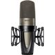 Микрофон KSM42/SG, с большой двойной диафрагмой, изображение 3